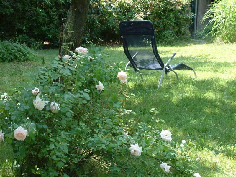 Apartment In Chemnitz, Ebersdorfer Wald エクステリア 写真